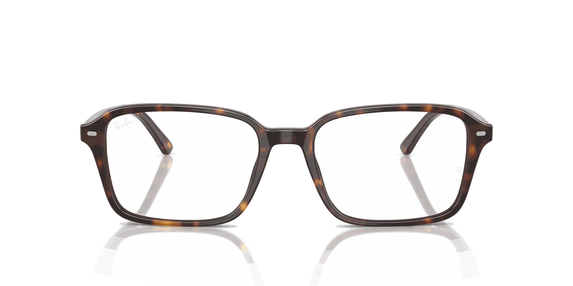 [Clear Lenses, Polished Havana Frame]