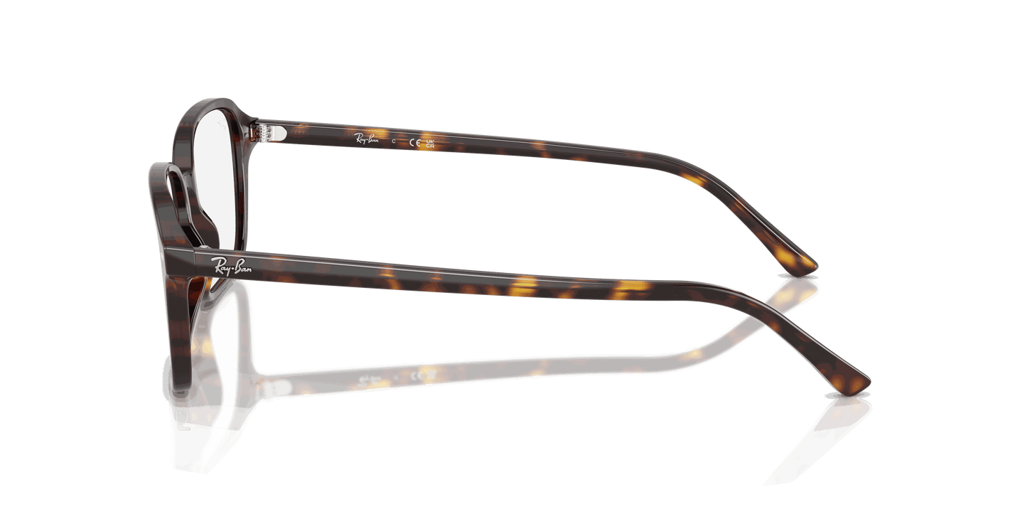 [Clear Lenses, Polished Havana Frame]
