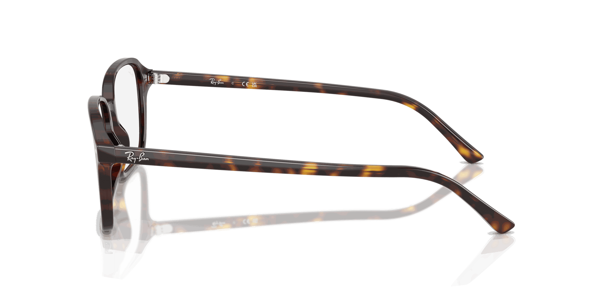 [Clear Lenses, Polished Havana Frame]