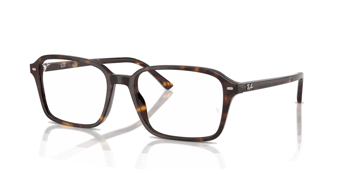 [Clear Lenses, Polished Havana Frame]