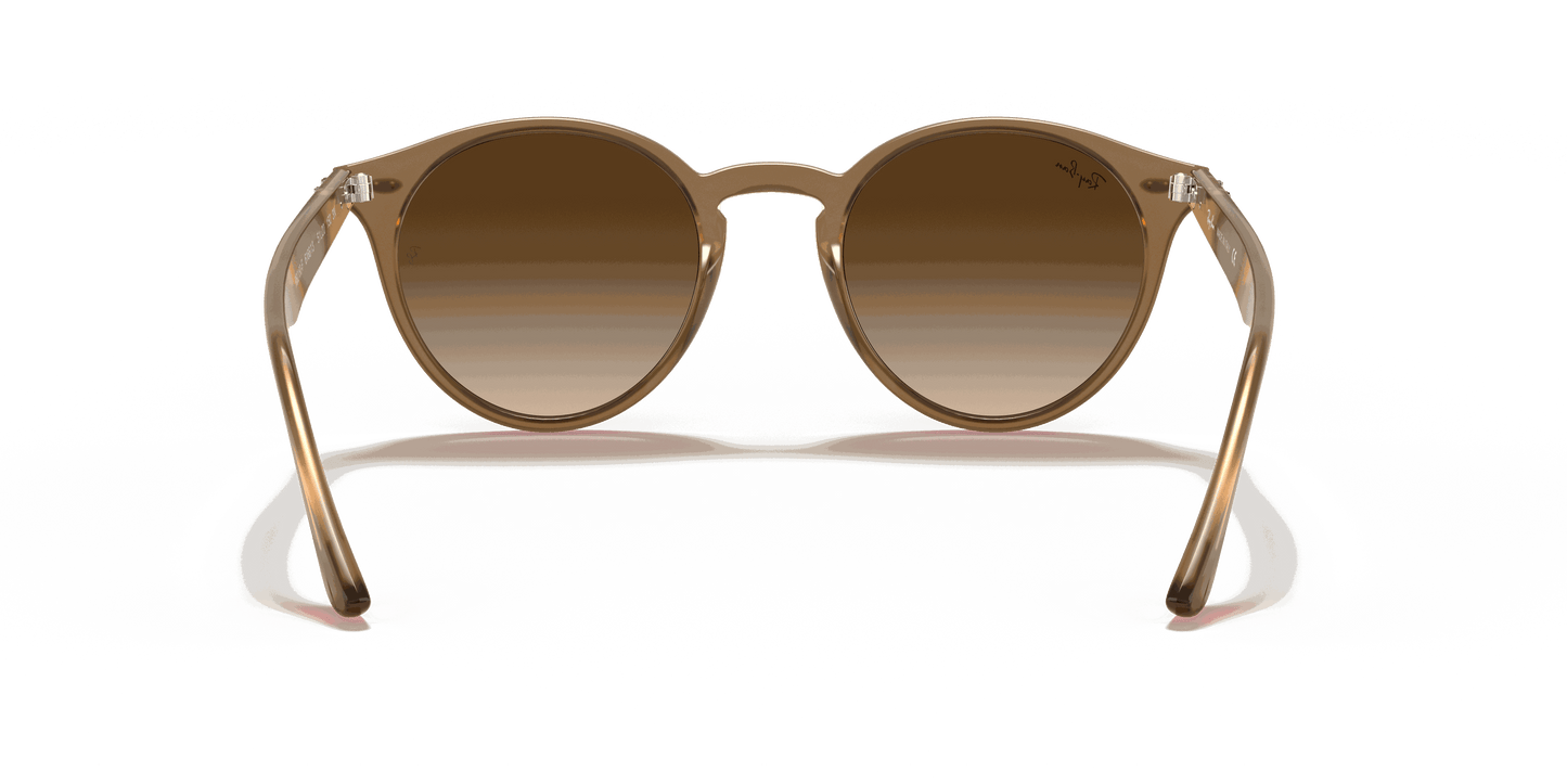 [Brown Gradient Lenses, Polished Light Brown Frame]