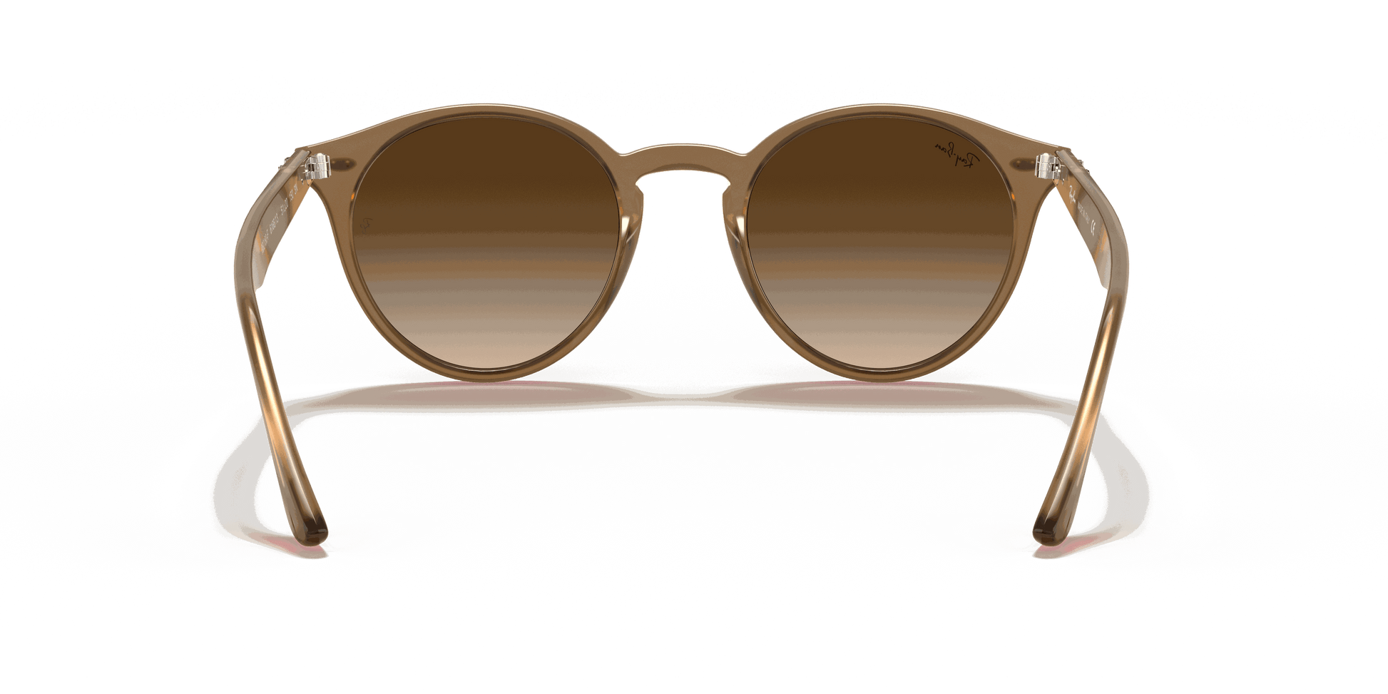[Brown Gradient Lenses, Polished Light Brown Frame]