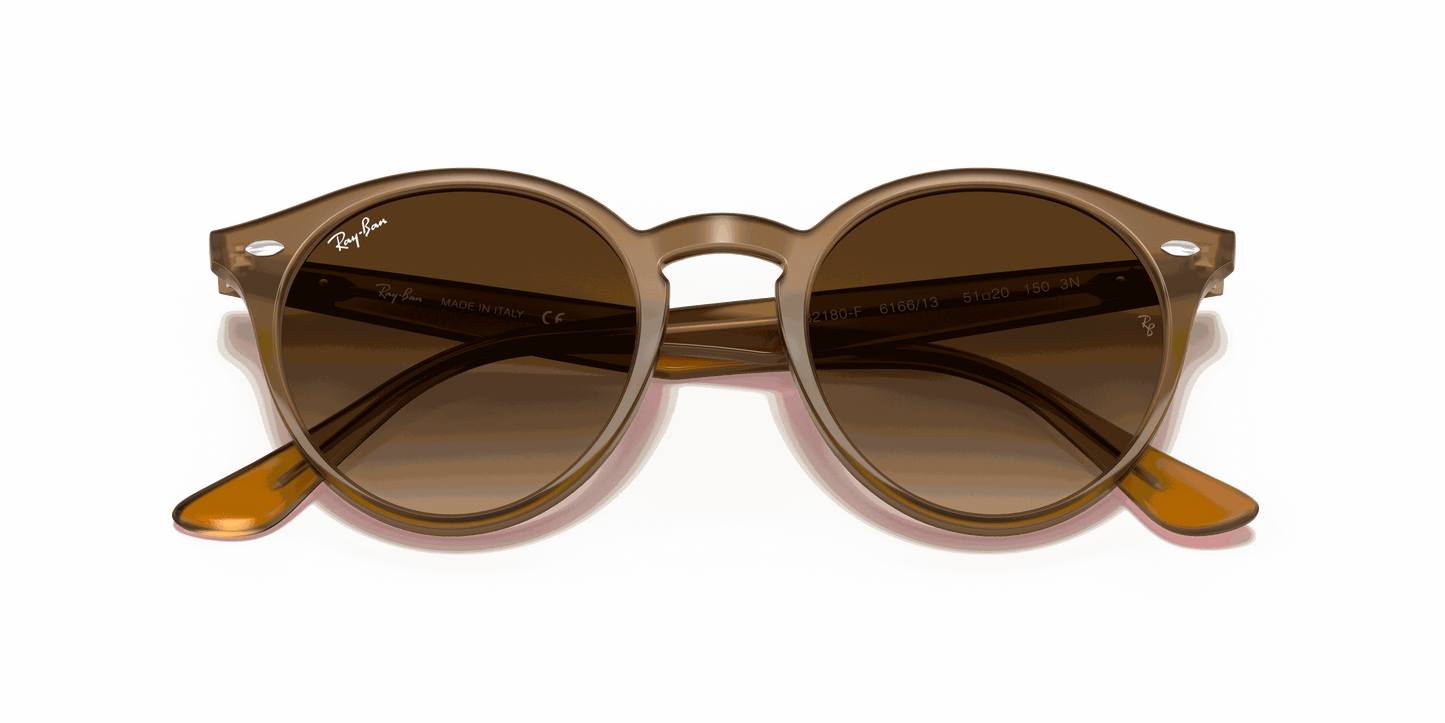 [Brown Gradient Lenses, Polished Light Brown Frame]