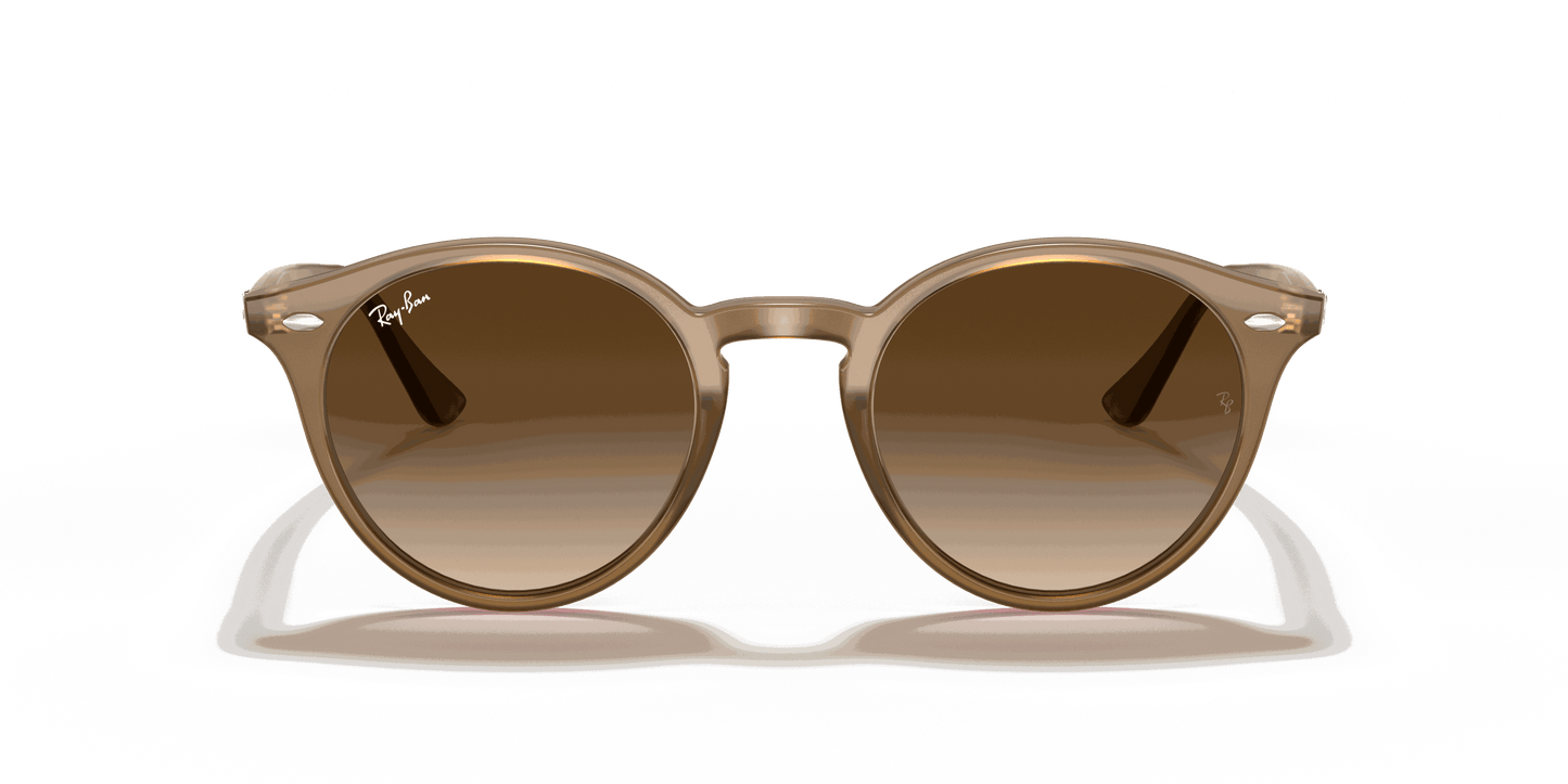 [Brown Gradient Lenses, Polished Light Brown Frame]