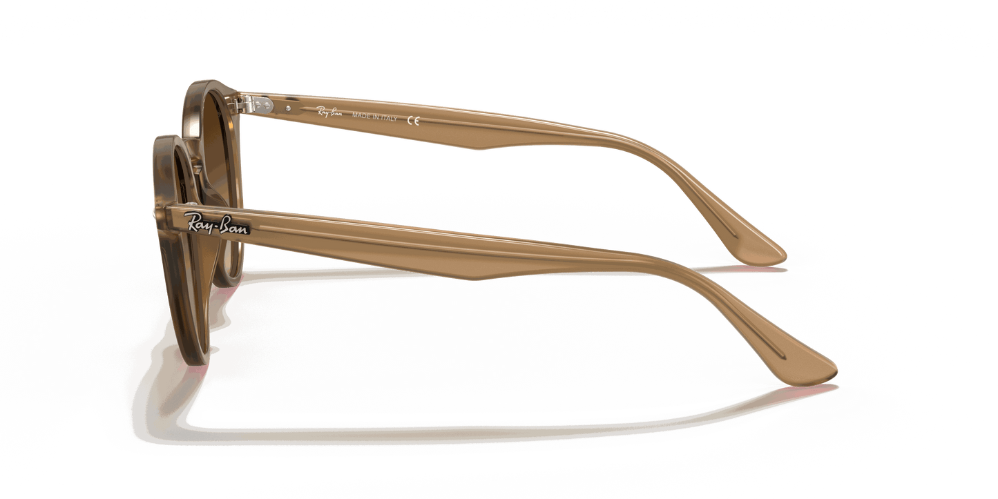 [Brown Gradient Lenses, Polished Light Brown Frame]