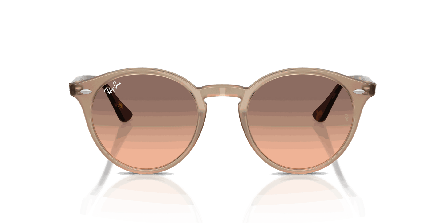 [Pink Gradient Grey Lenses, Polished Turtledove Frame]