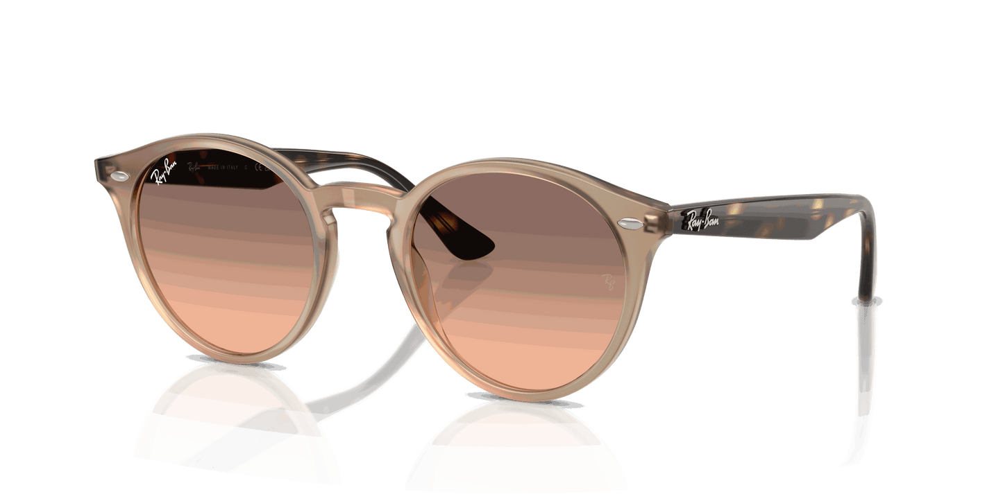 [Pink Gradient Grey Lenses, Polished Turtledove Frame]