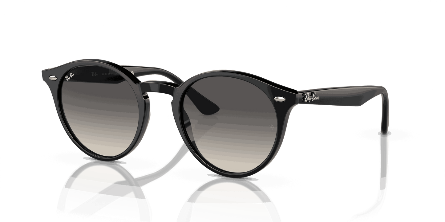 [Grey Lenses, Polished Black Frame]