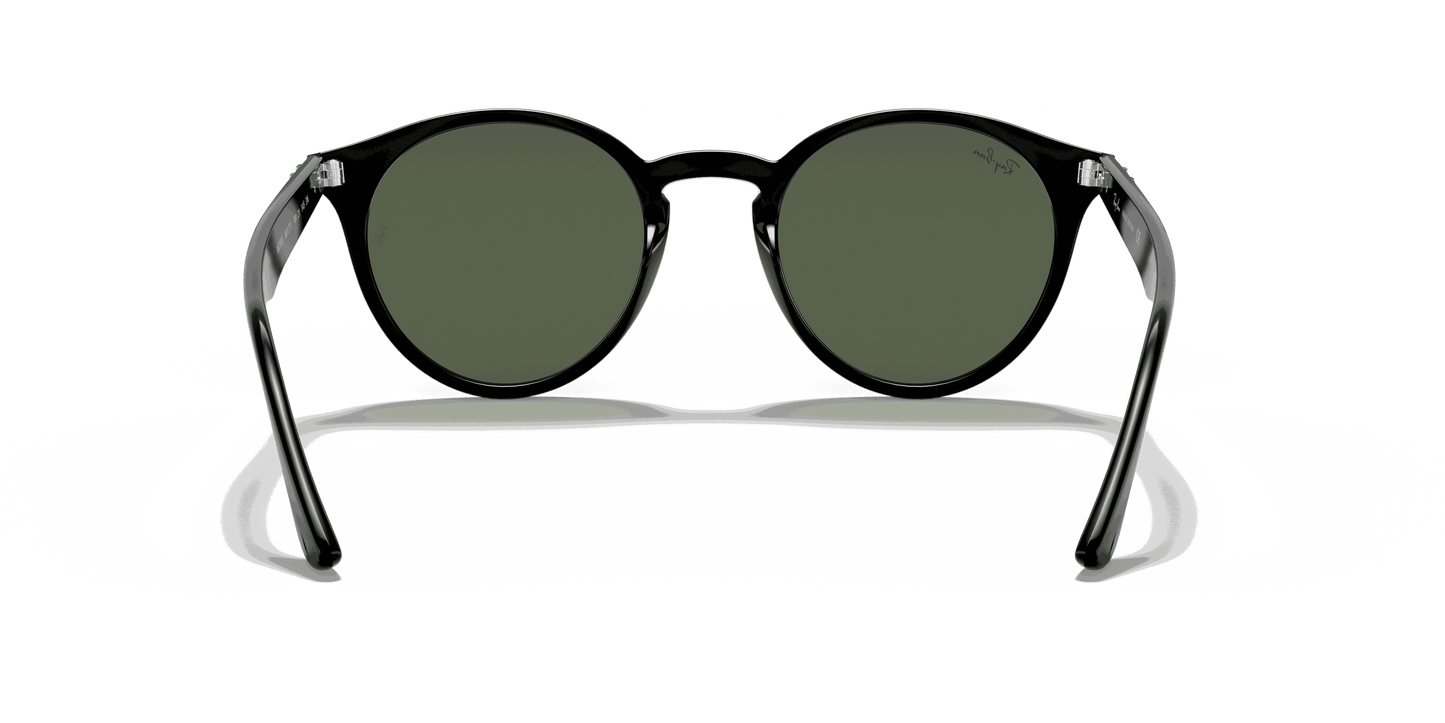 [Dark Green Lenses, Polished Black Frame]