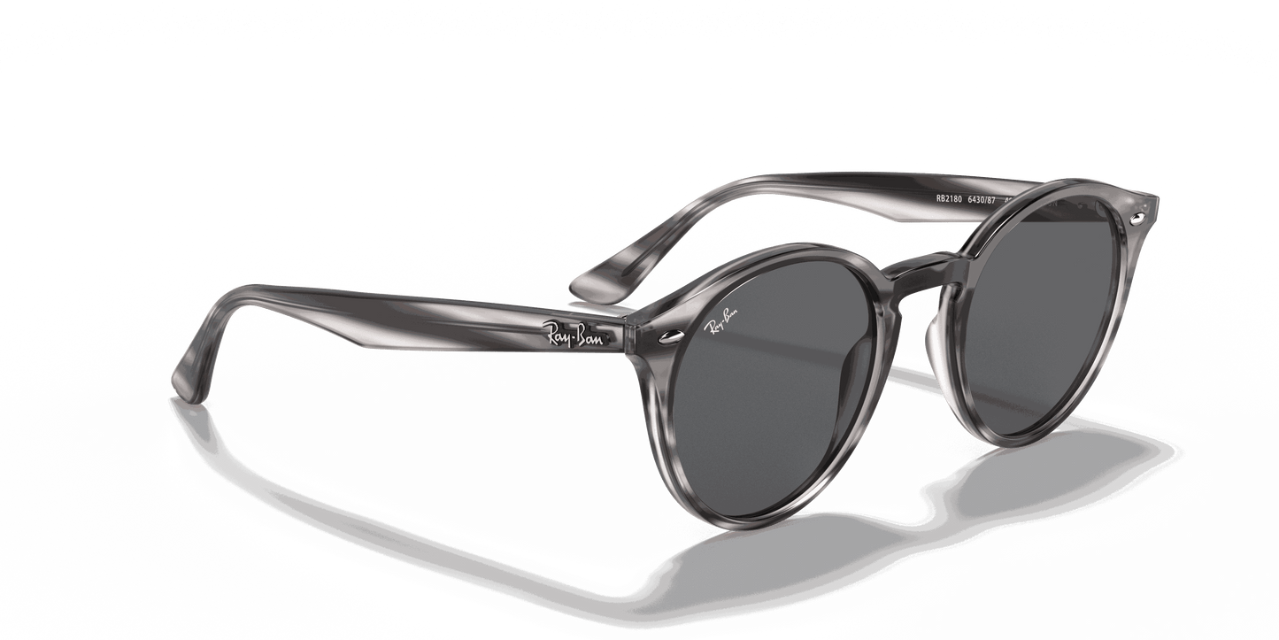 [Dark Grey Lenses, Polished Striped Grey Havana Frame]