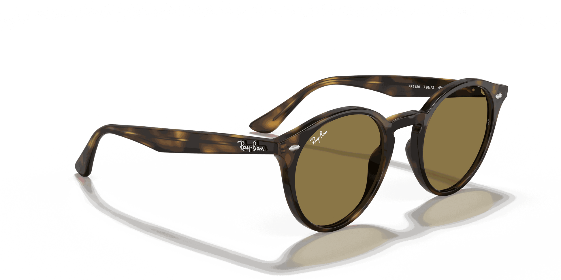 [B-15 Brown Lenses, Polished Light Havana Frame]