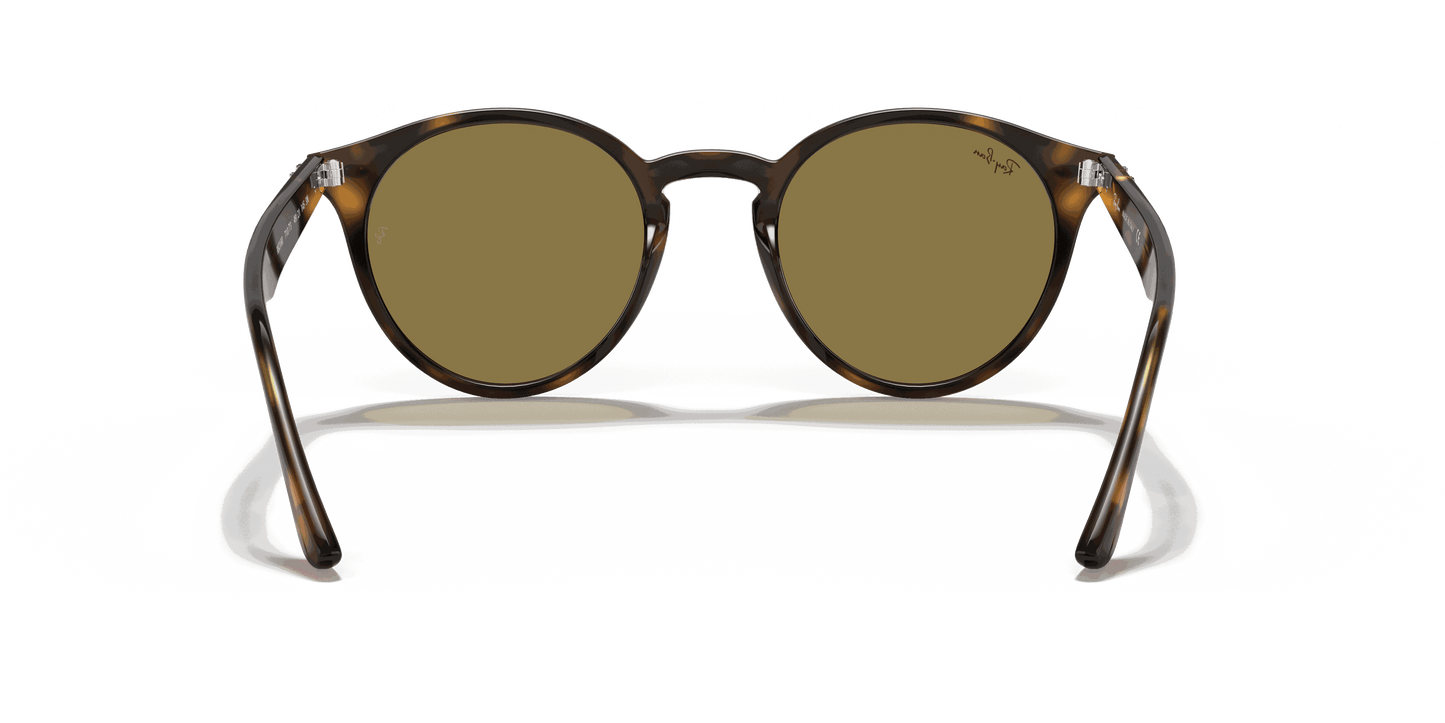 [B-15 Brown Lenses, Polished Light Havana Frame]