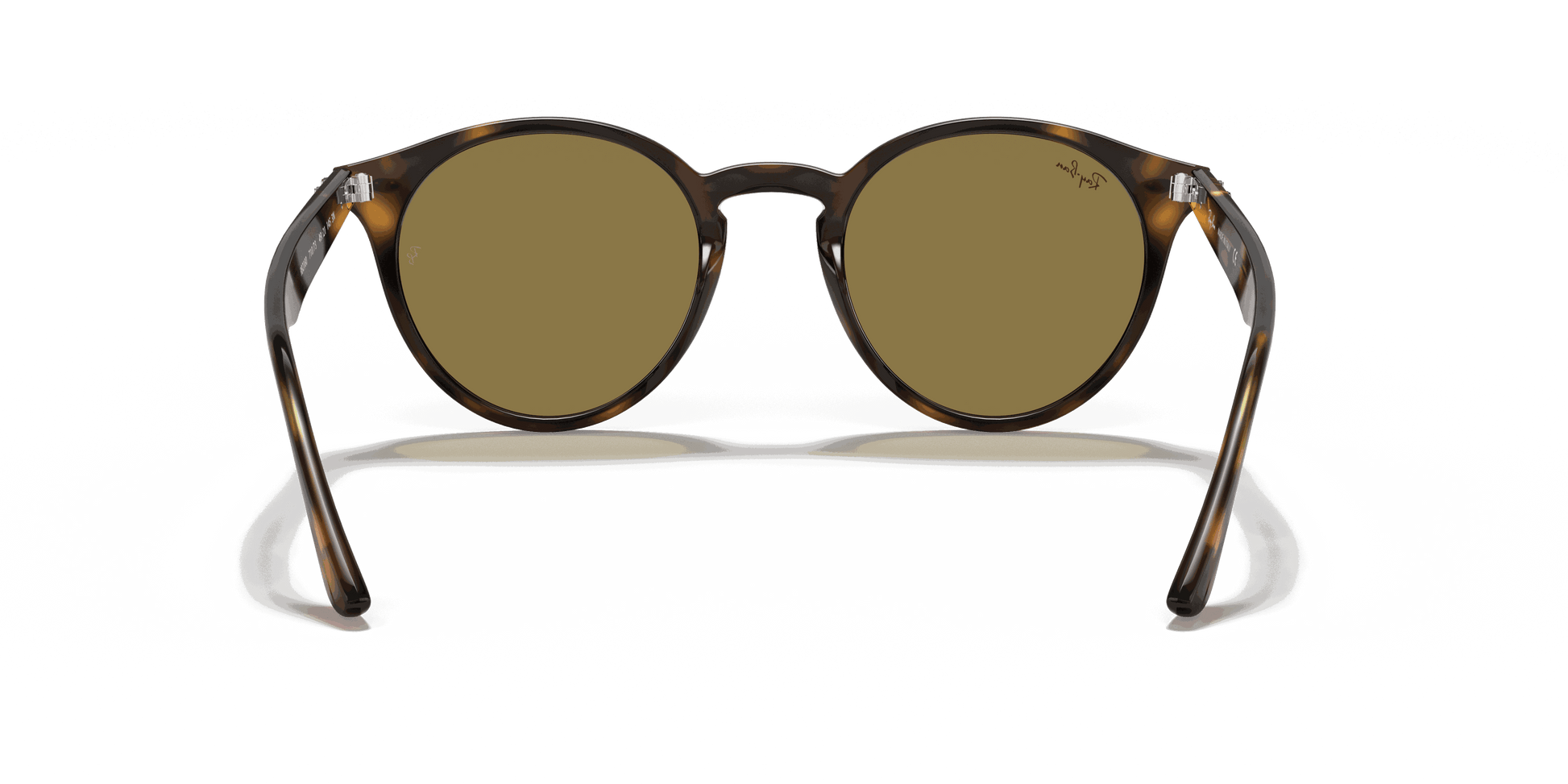 [B-15 Brown Lenses, Polished Light Havana Frame]
