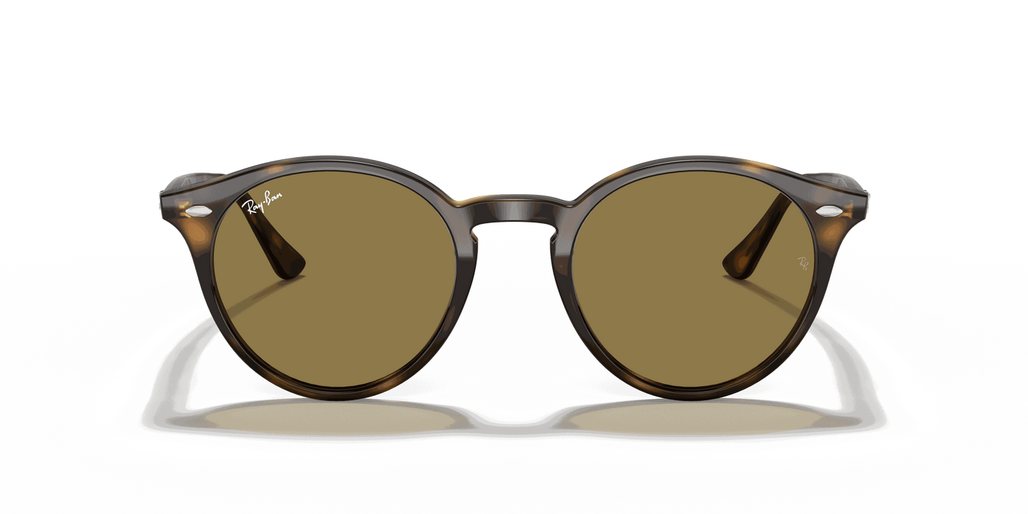 [B-15 Brown Lenses, Polished Light Havana Frame]