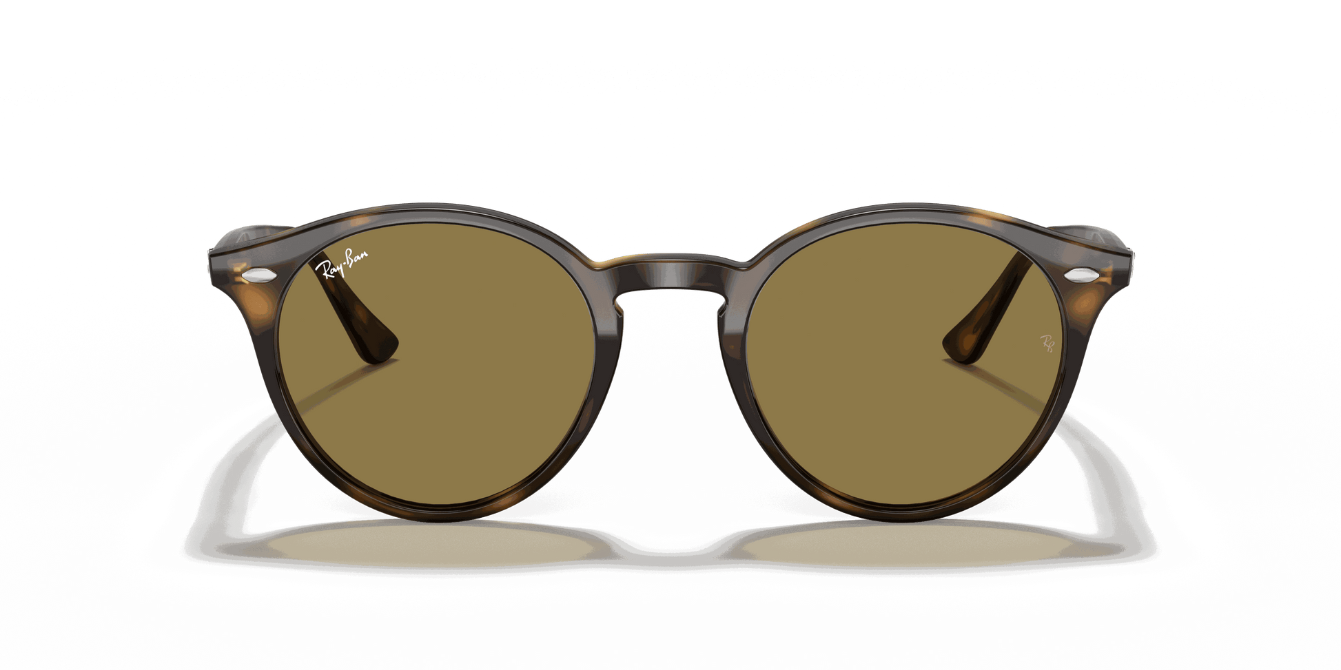 [B-15 Brown Lenses, Polished Light Havana Frame]