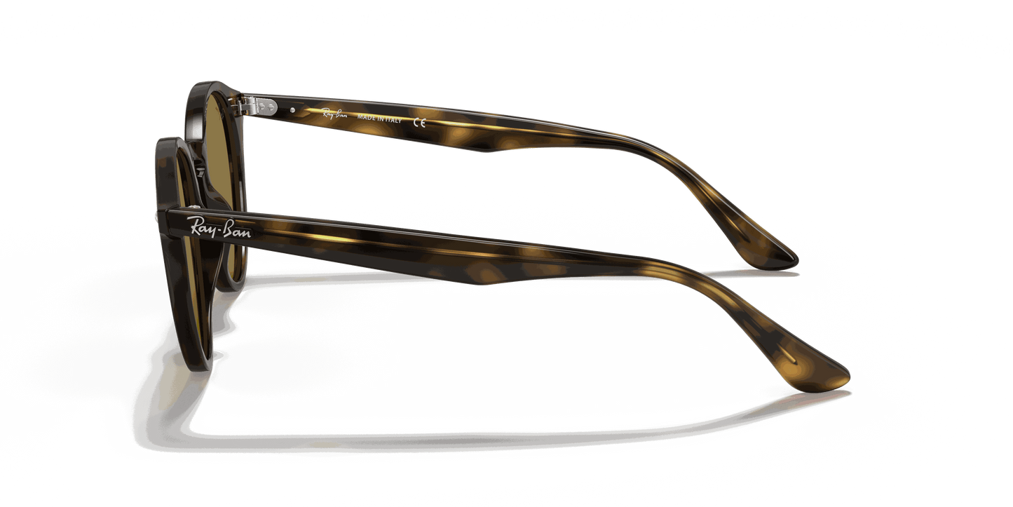 [B-15 Brown Lenses, Polished Light Havana Frame]