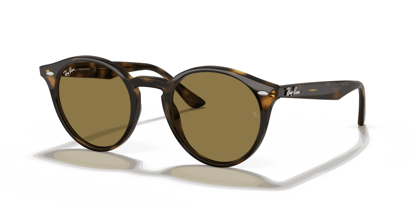 [B-15 Brown Lenses, Polished Light Havana Frame]