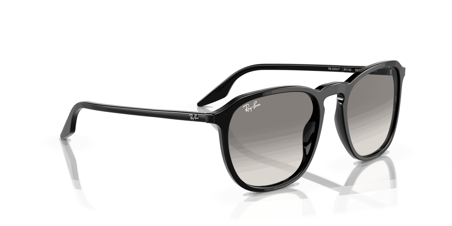 [Clear/Grey Lenses, Polished Black Frame]