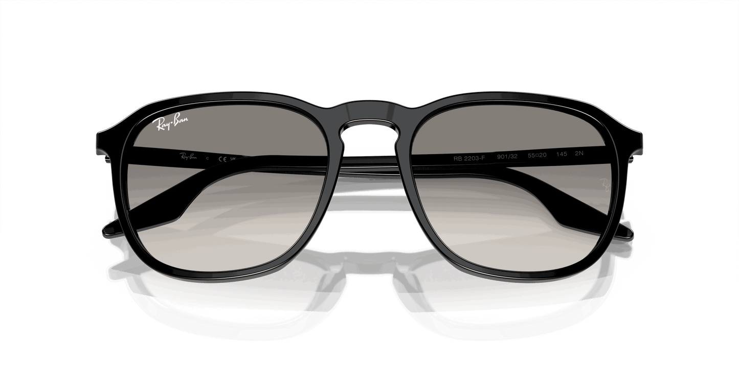 [Clear/Grey Lenses, Polished Black Frame]
