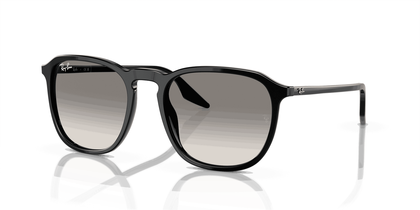 [Clear/Grey Lenses, Polished Black Frame]