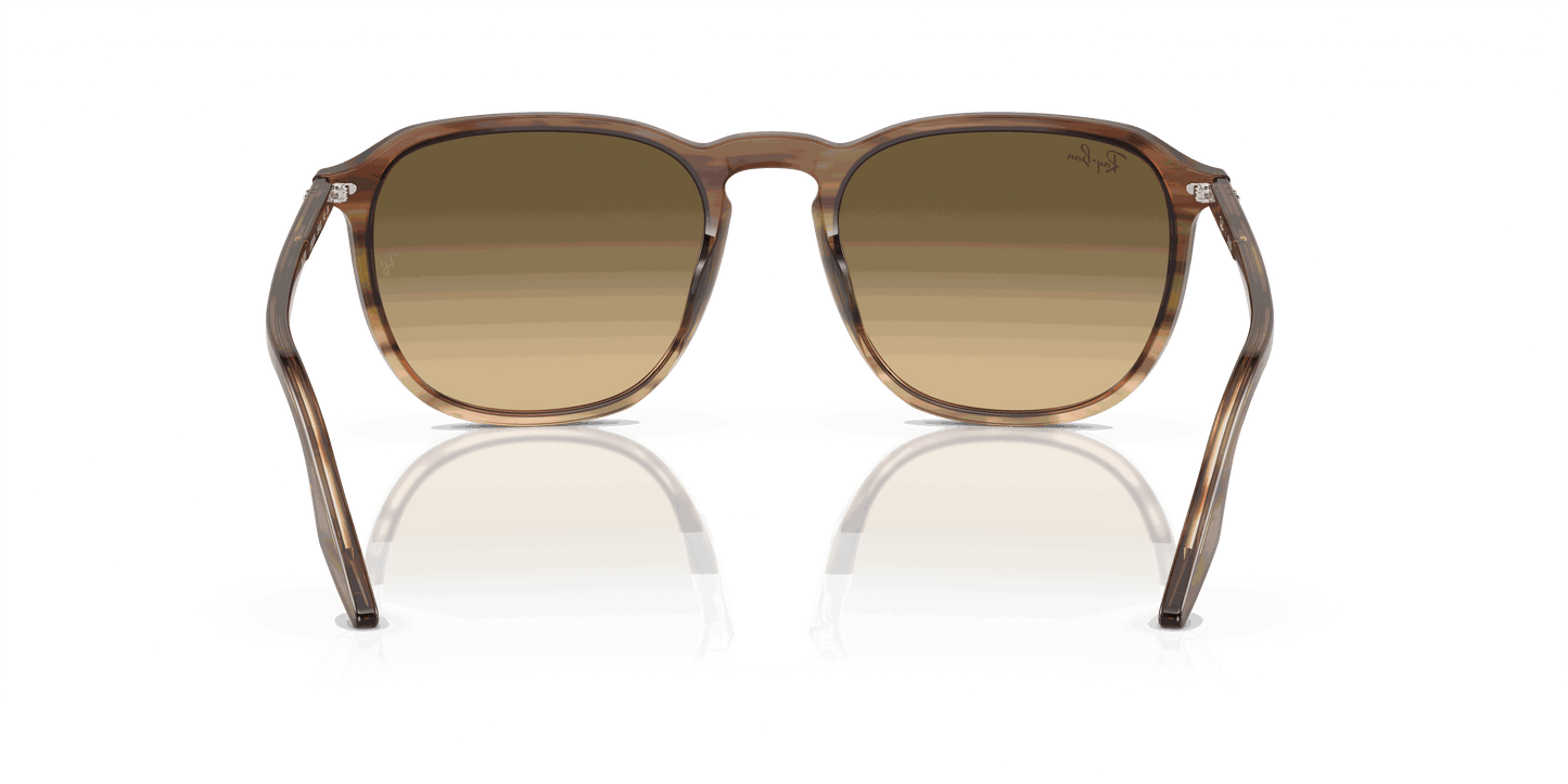 [Brown Black Lenses, Polished Striped Brown & Green Frame]