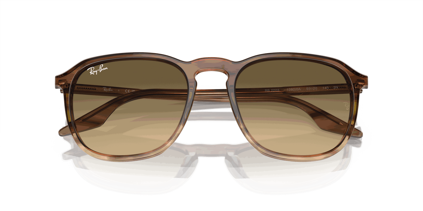 [Brown Black Lenses, Polished Striped Brown & Green Frame]
