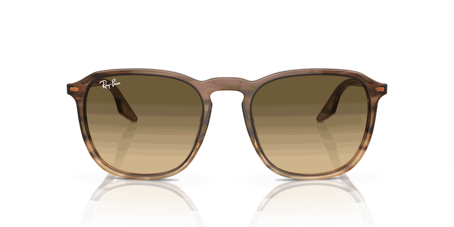 [Brown Black Lenses, Polished Striped Brown & Green Frame]