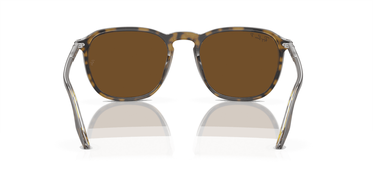 [B-15 Brown Lenses, Polished Havana Frame]
