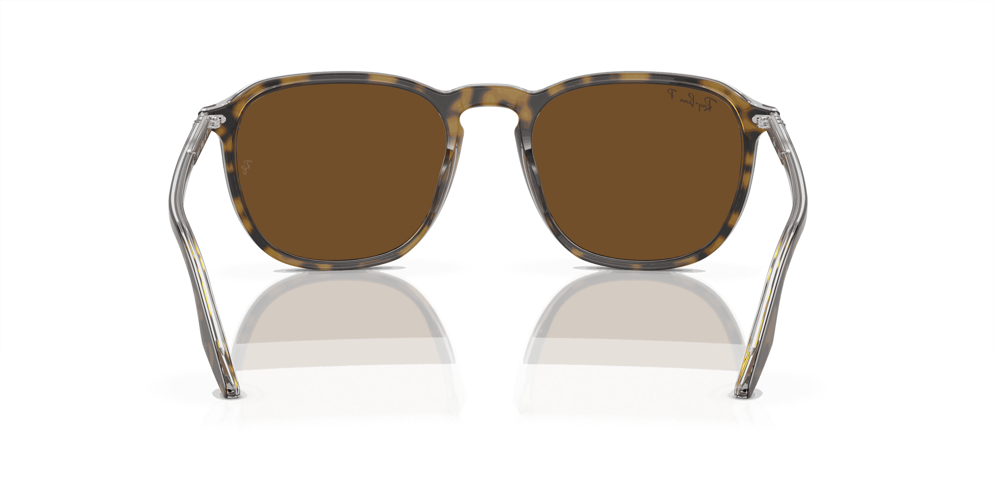 [B-15 Brown Lenses, Polished Havana Frame]