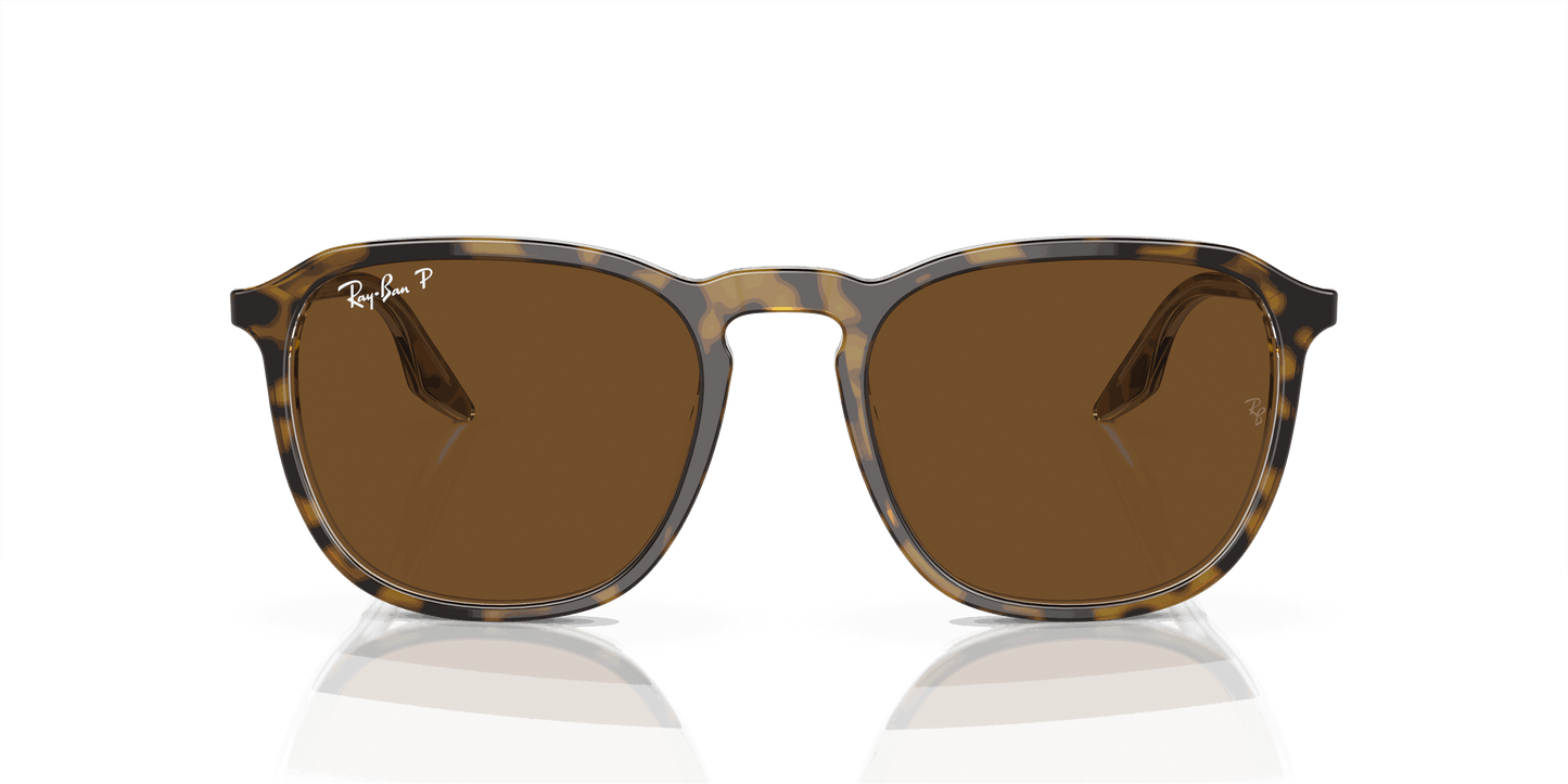 [B-15 Brown Lenses, Polished Havana Frame]
