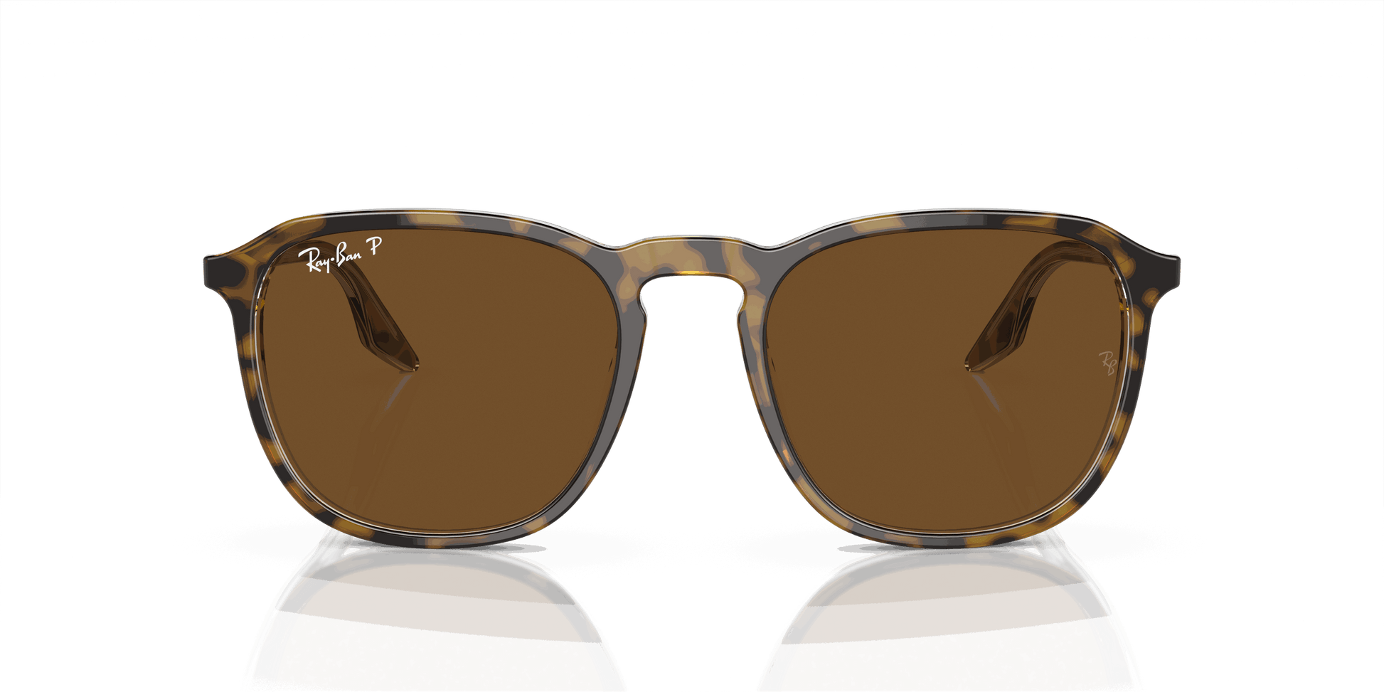 [B-15 Brown Lenses, Polished Havana Frame]