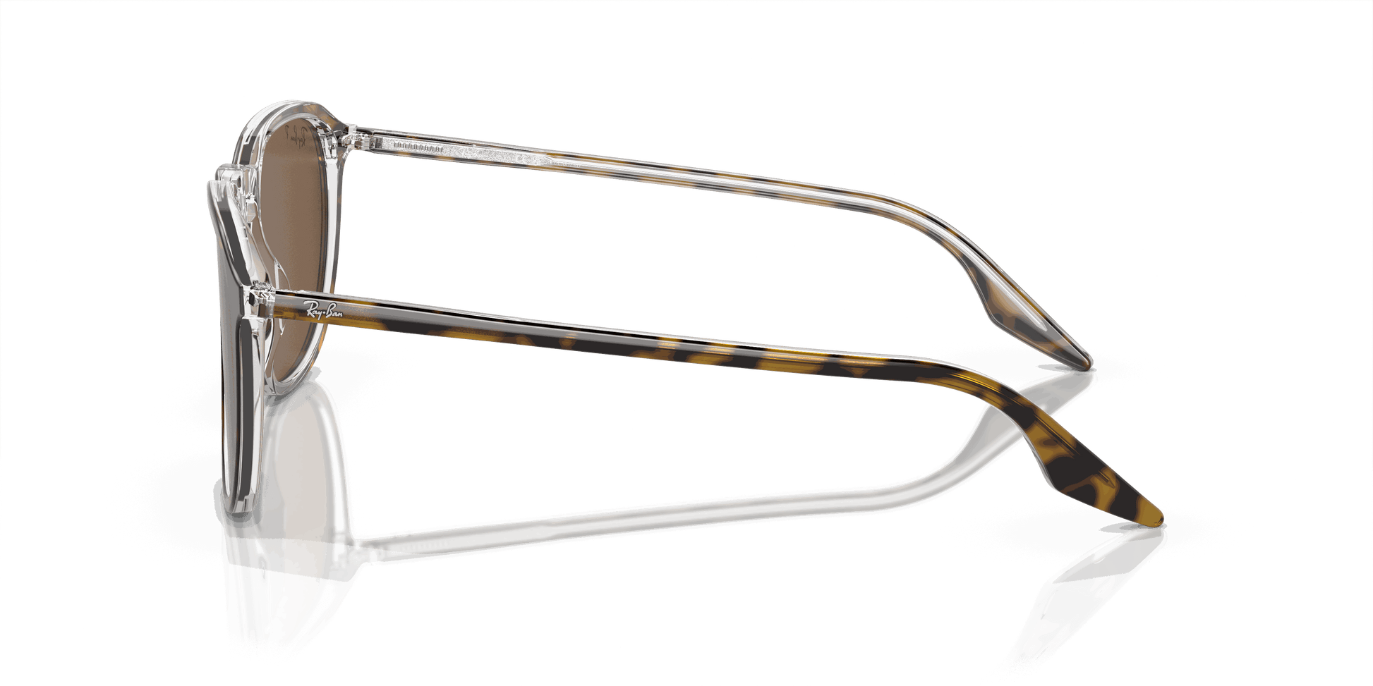 [B-15 Brown Lenses, Polished Havana Frame]