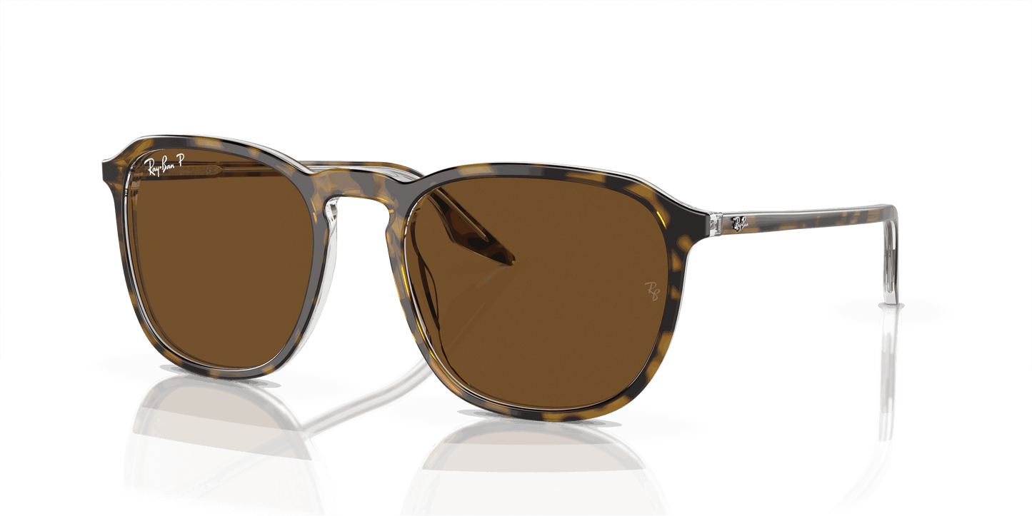[B-15 Brown Lenses, Polished Havana Frame]