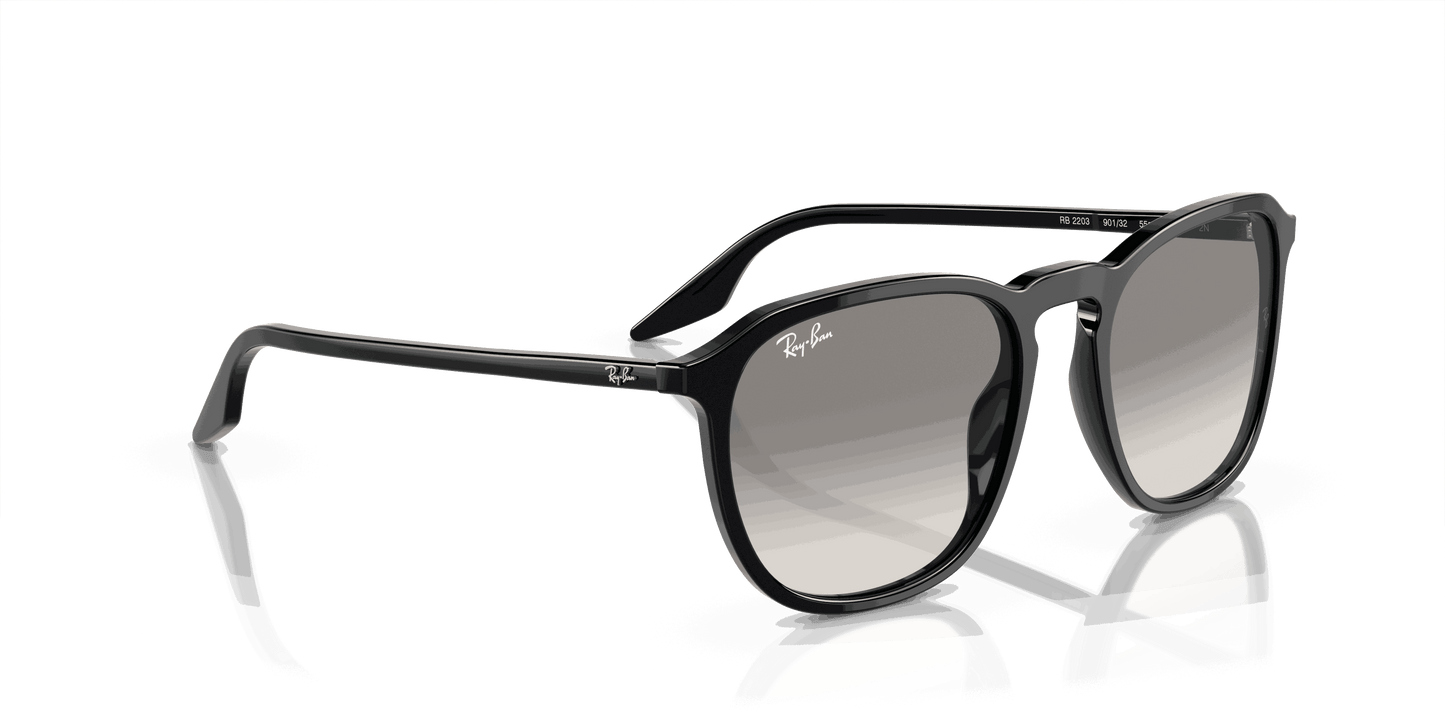 [Light Grey Lenses, Polished Black Frame]