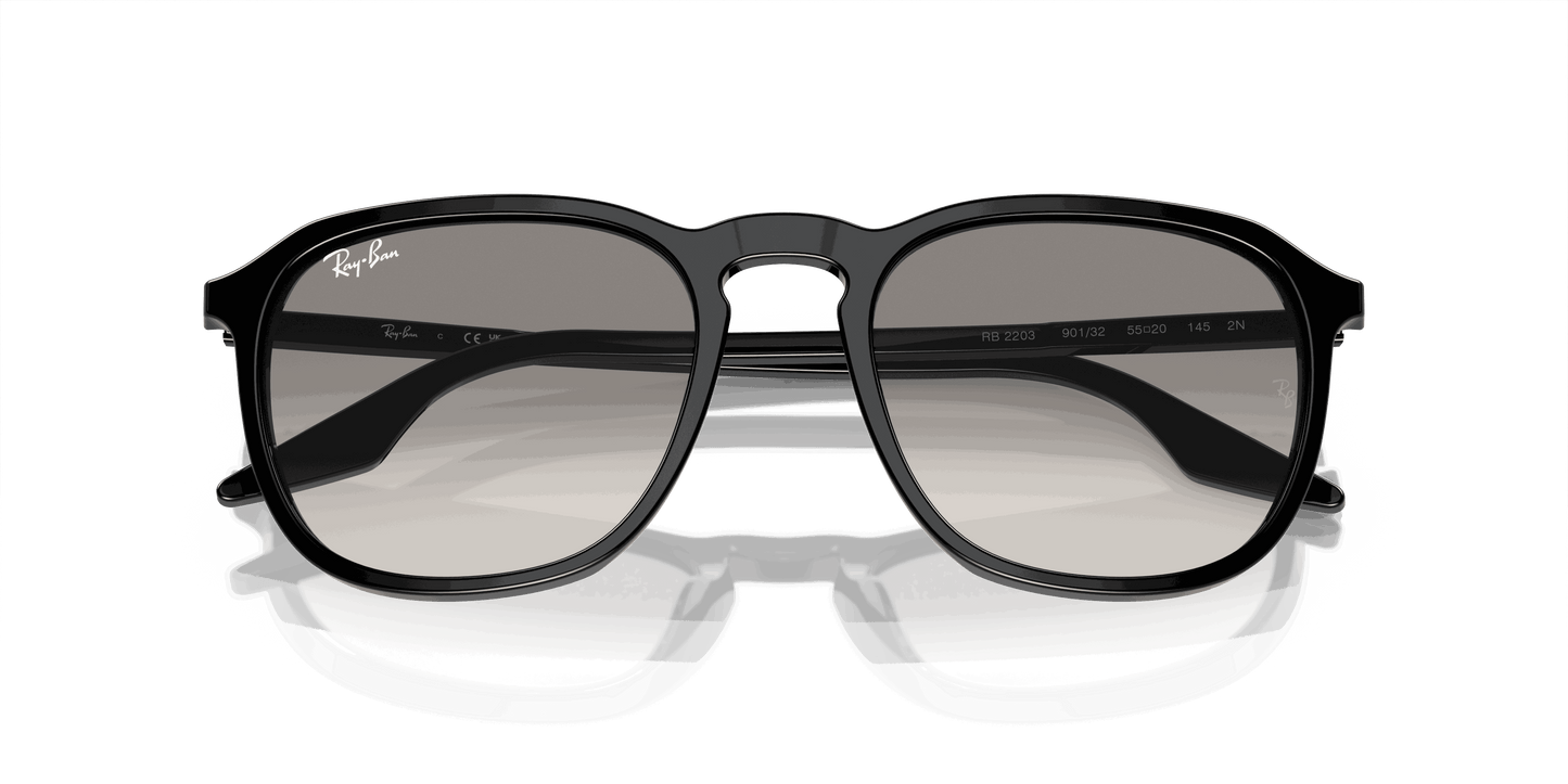 [Light Grey Lenses, Polished Black Frame]