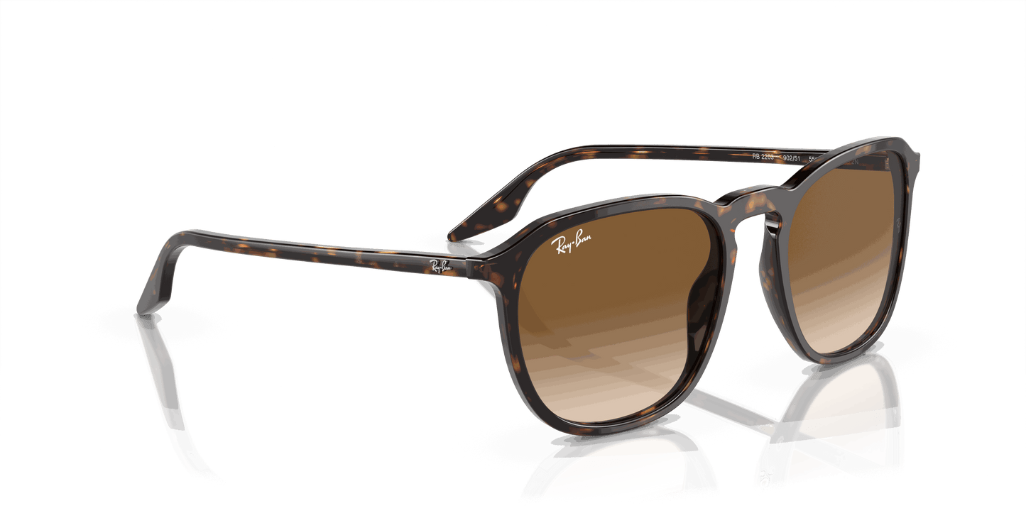 [Light Brown Lenses, Polished Havana Frame]