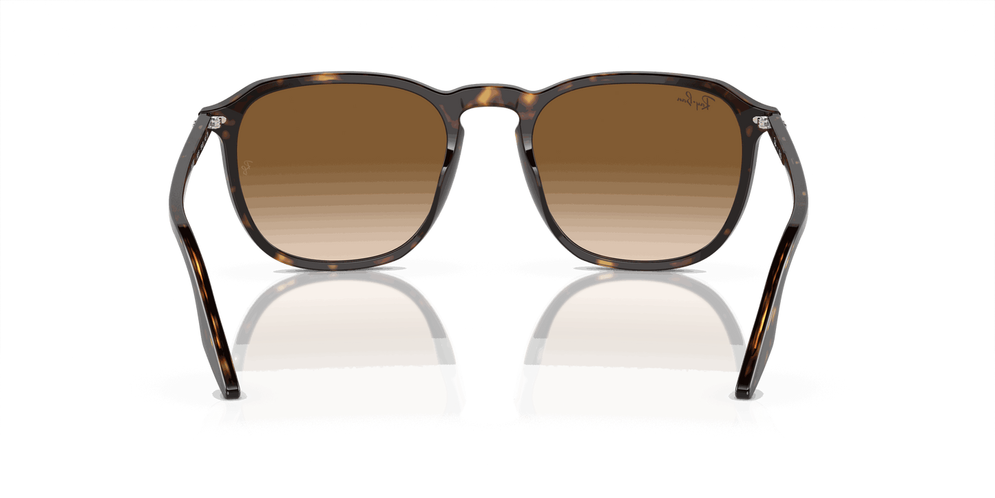 [Light Brown Lenses, Polished Havana Frame]