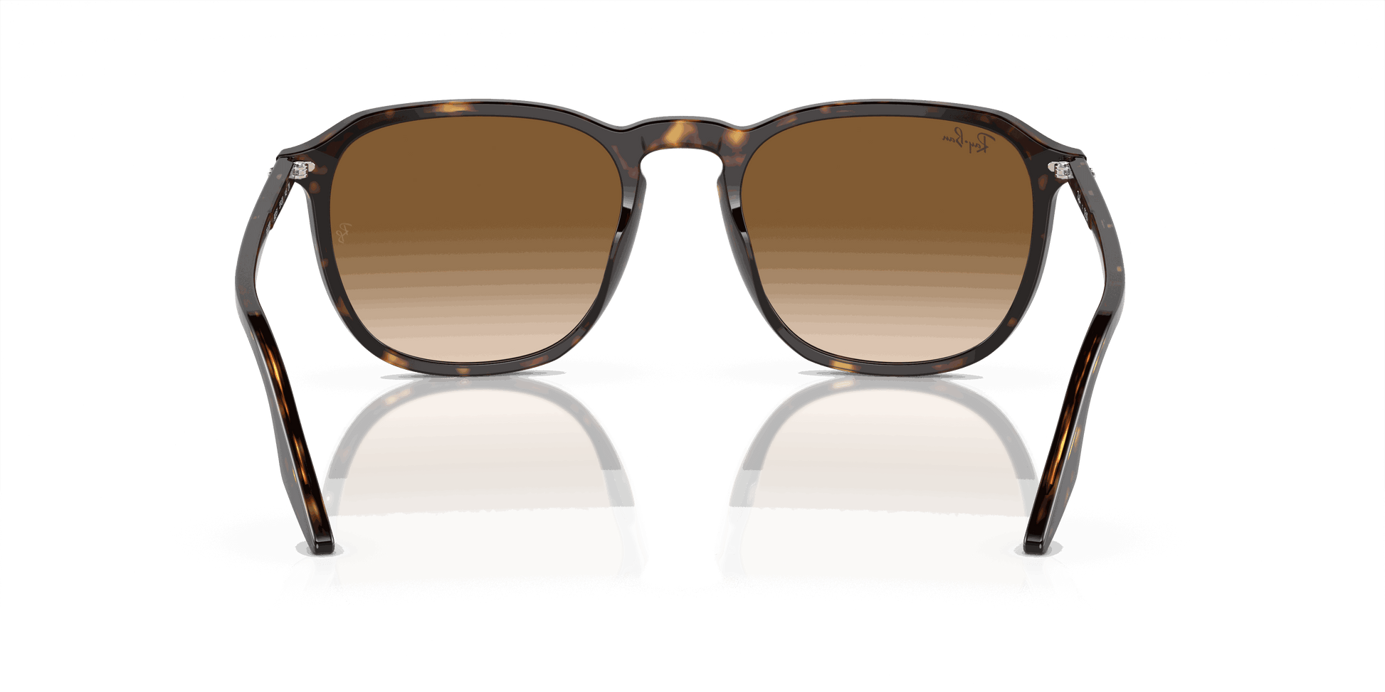 [Light Brown Lenses, Polished Havana Frame]