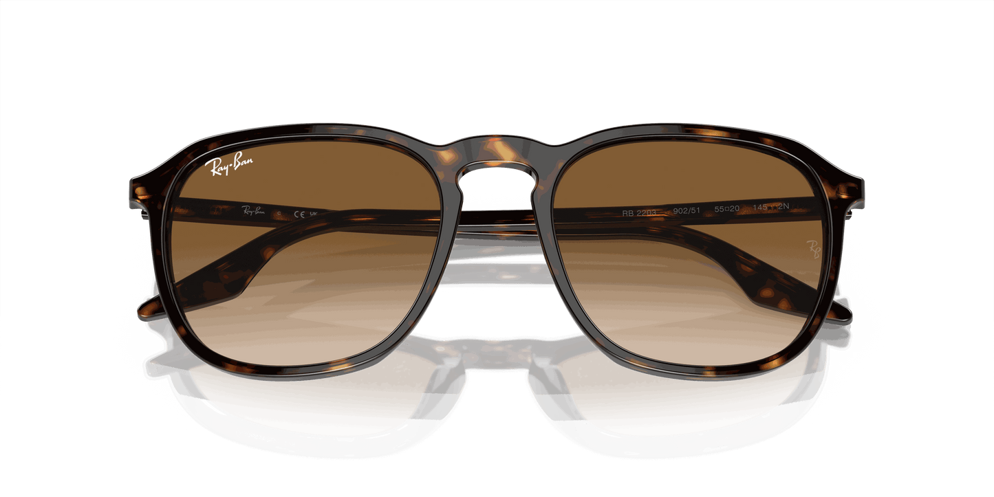 [Light Brown Lenses, Polished Havana Frame]