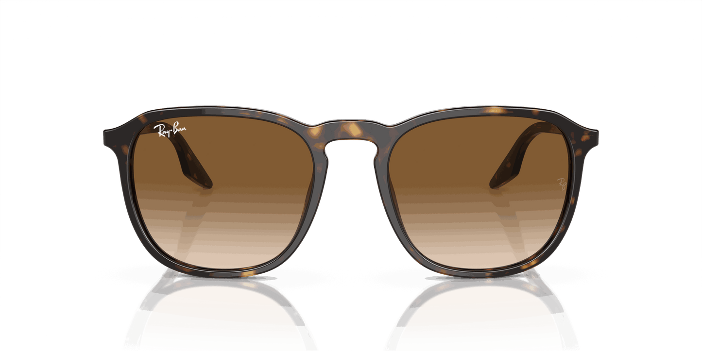 [Light Brown Lenses, Polished Havana Frame]