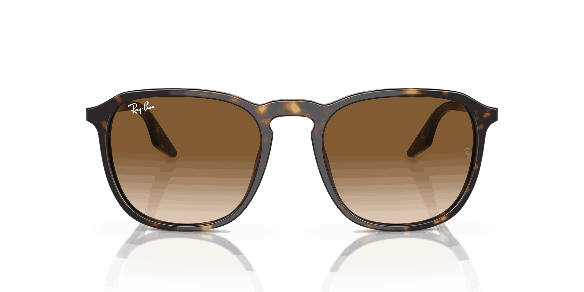 [Light Brown Lenses, Polished Havana Frame]