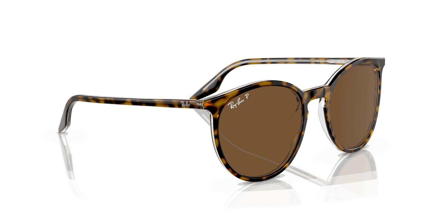 [Brown Lenses, Polished Havana On Transparent Frame]
