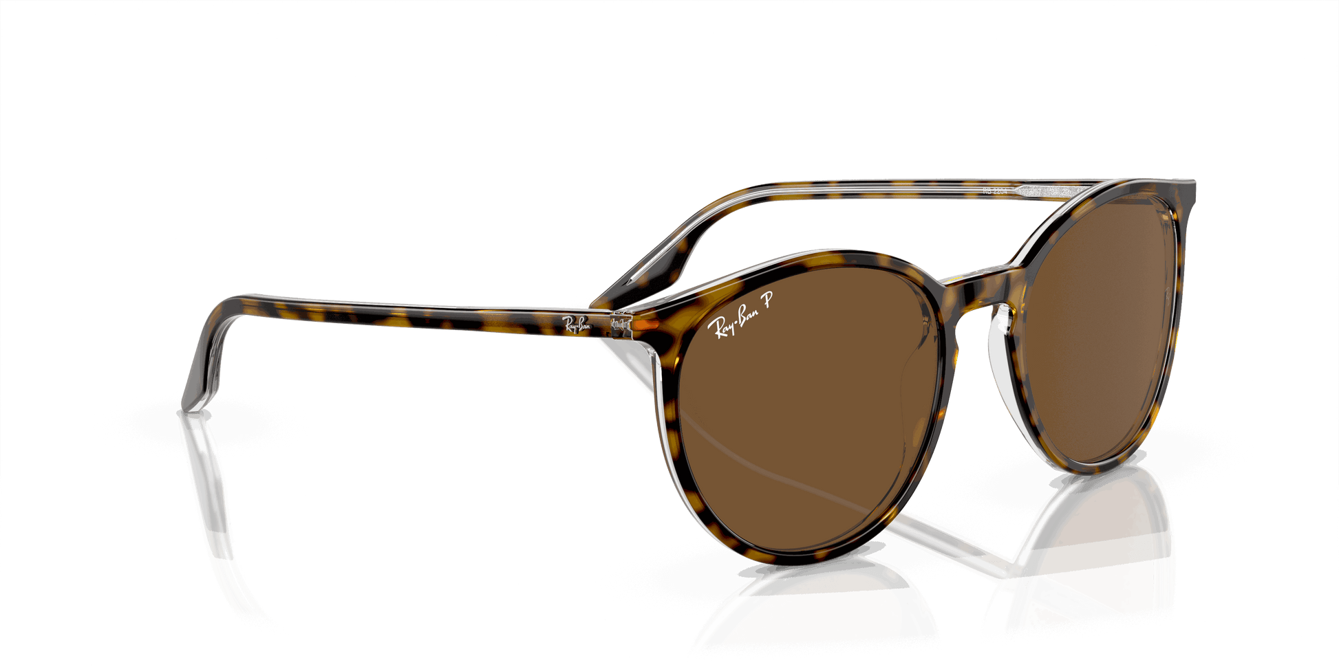 [Brown Lenses, Polished Havana On Transparent Frame]