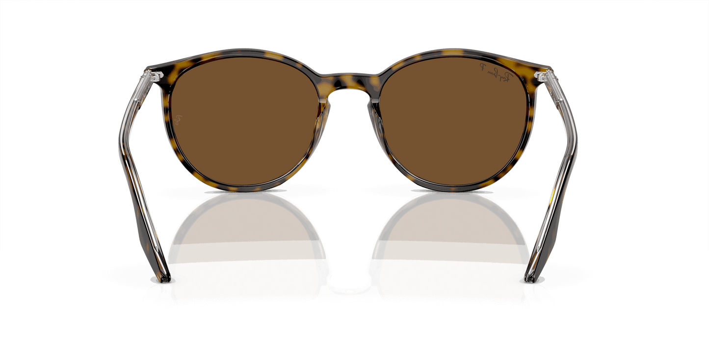 [Brown Lenses, Polished Havana On Transparent Frame]