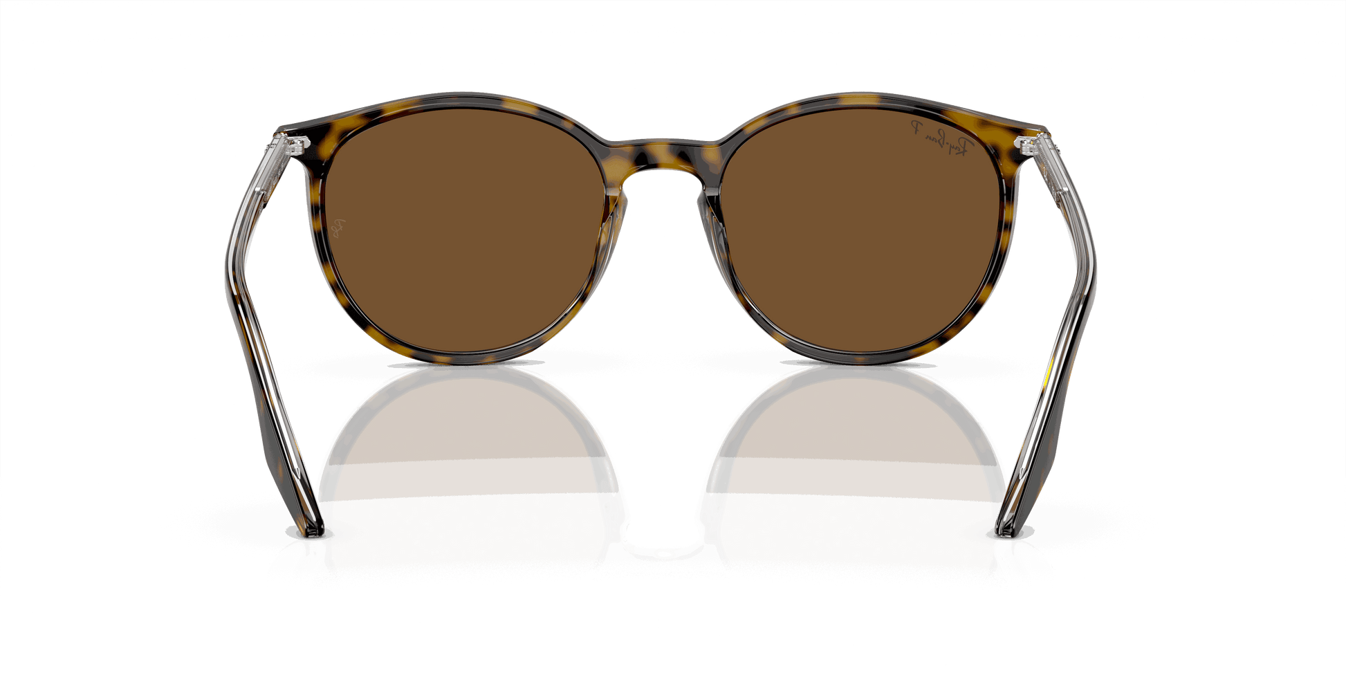 [Brown Lenses, Polished Havana On Transparent Frame]