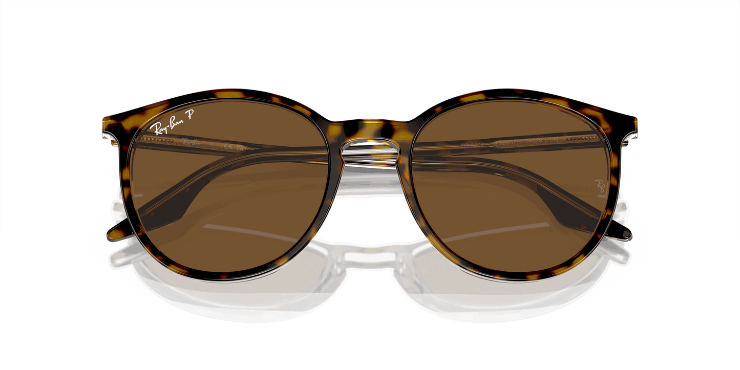 [Brown Lenses, Polished Havana On Transparent Frame]