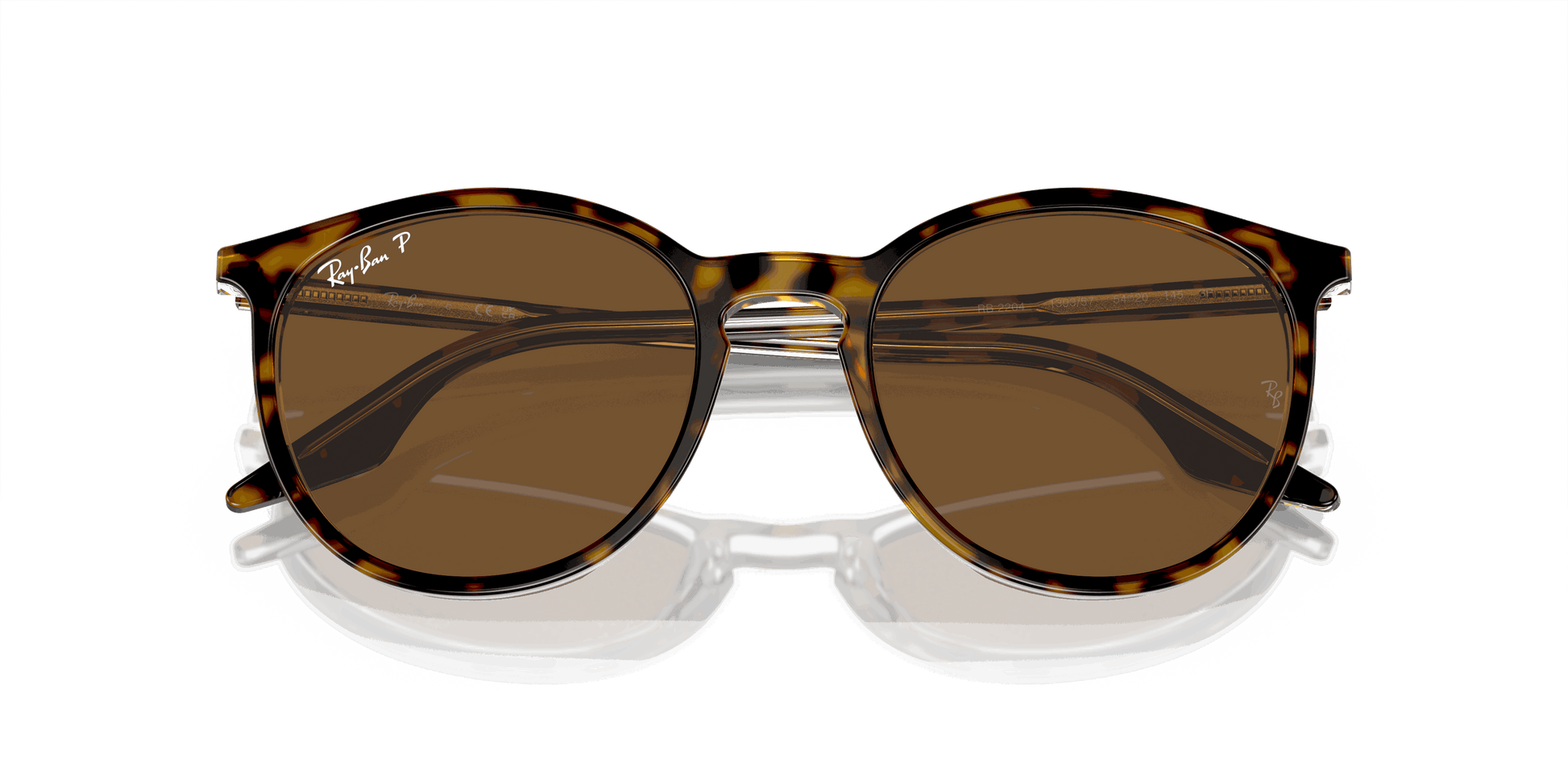 [Brown Lenses, Polished Havana On Transparent Frame]