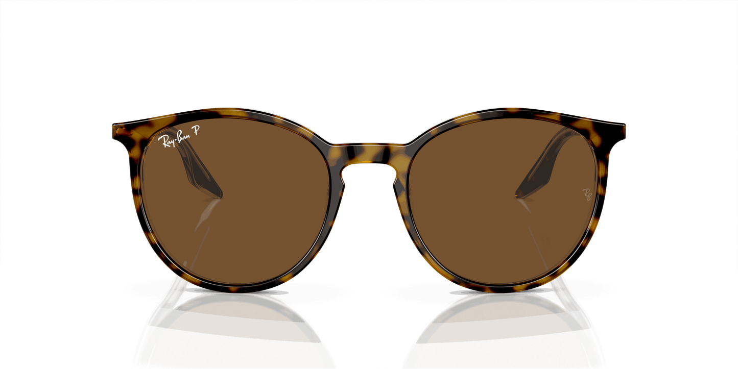 [Brown Lenses, Polished Havana On Transparent Frame]