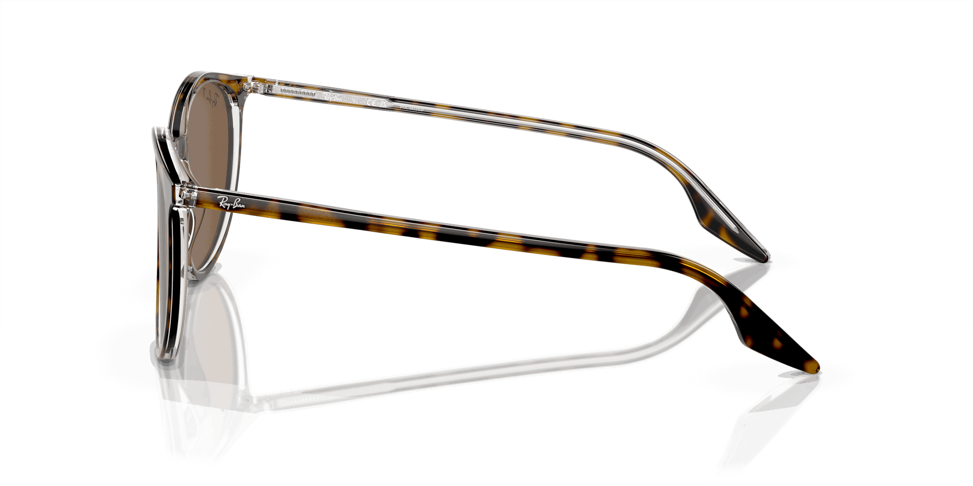 [Brown Lenses, Polished Havana On Transparent Frame]