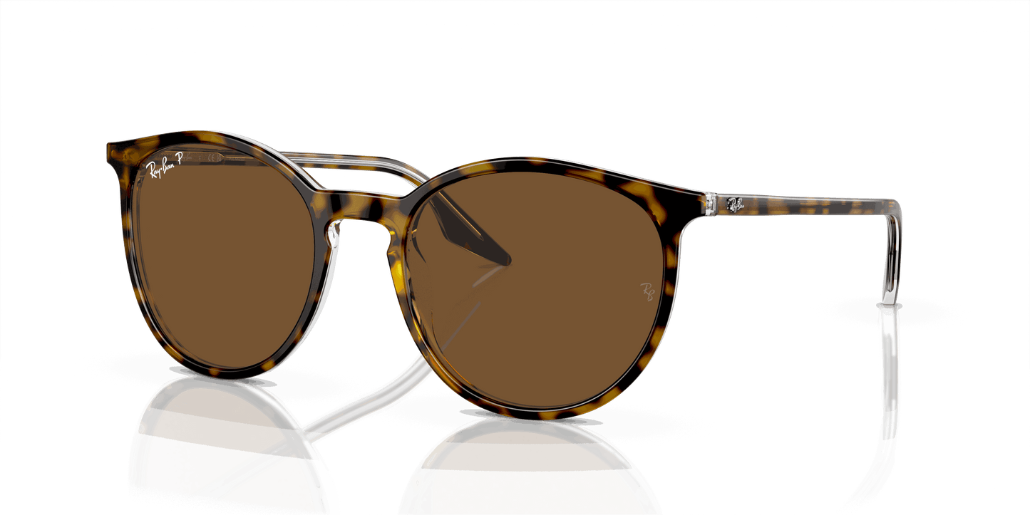 [Brown Lenses, Polished Havana On Transparent Frame]